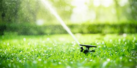 Sprinkler Head Leaking When Off: The Common Causes and。